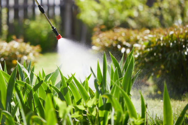 24/7 Emergency Mosquito Control experts in South Dennis, NJ